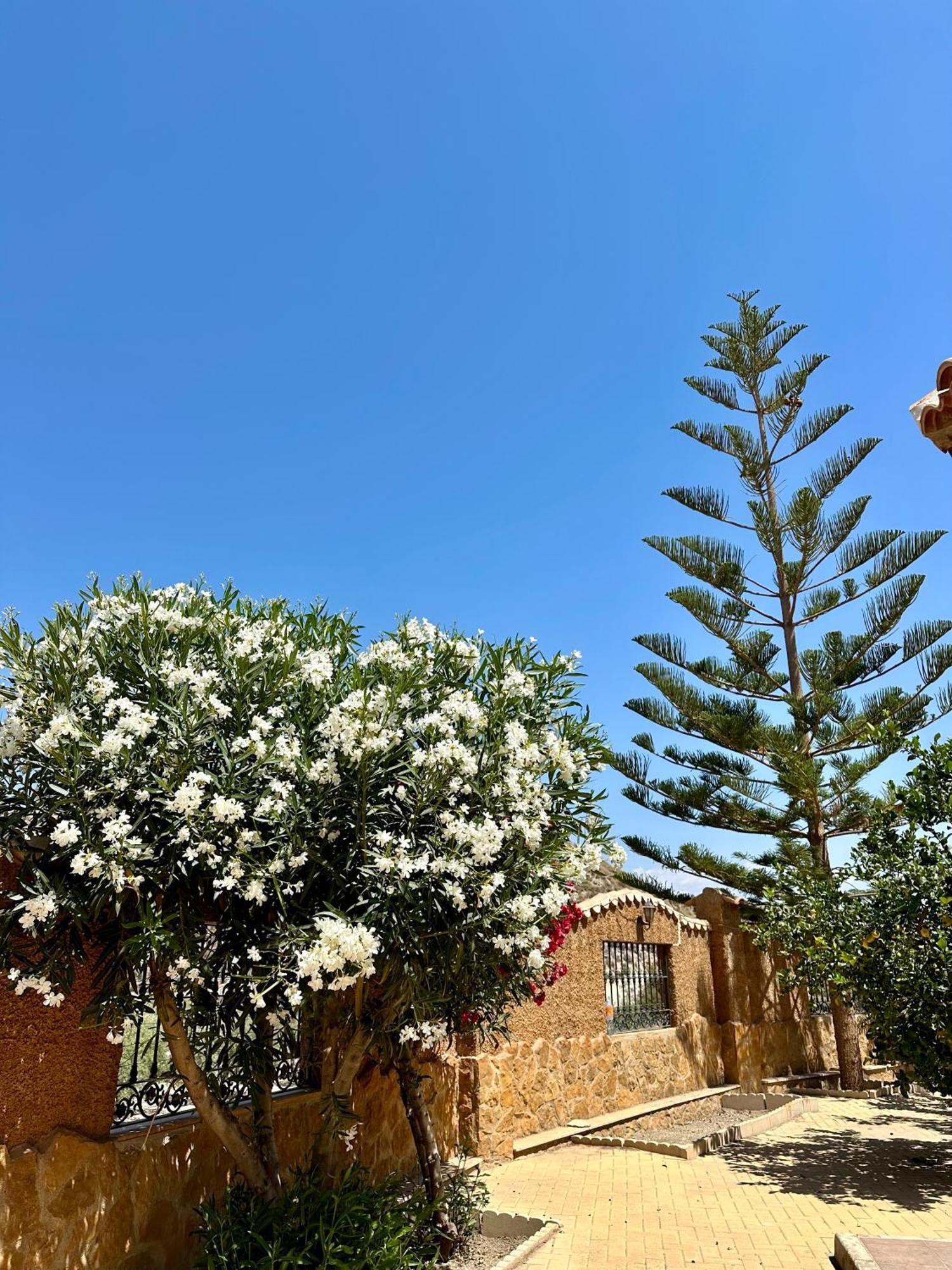 El Pomelo Ferienhaus